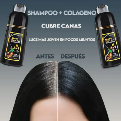 Shampoo cubre canas 100% 400ml